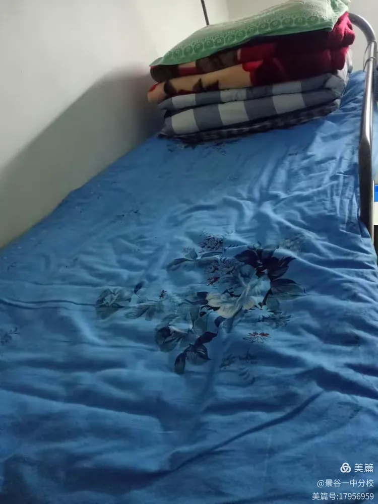 陕西师大附中"景谷班"的学习生活